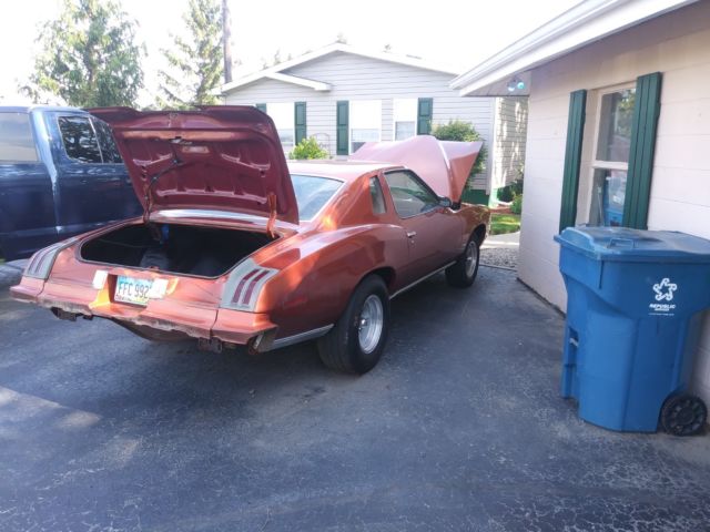 1975 Pontiac Le Mans Grand Lemans - photo 7