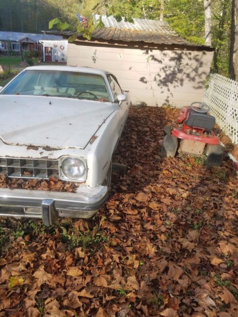 1975 Other Makes G80 - photo 3