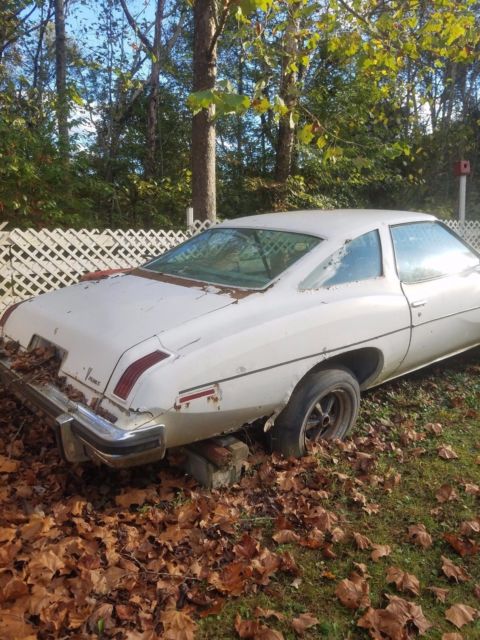 1975 Other Makes G80 - photo 5