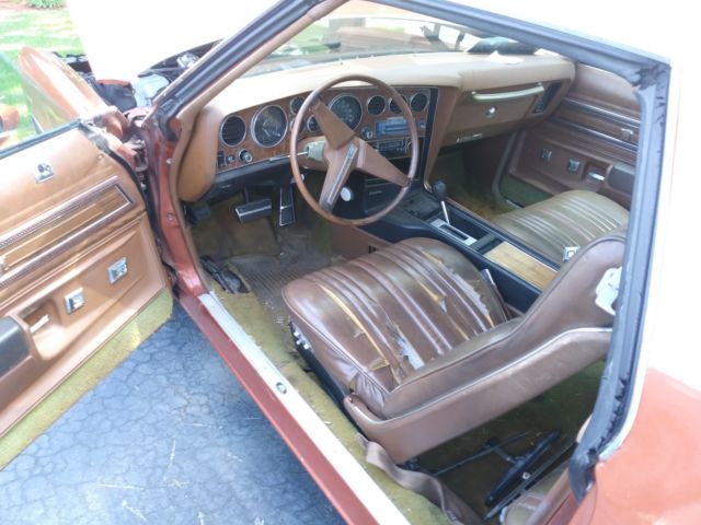 1975 Pontiac Le Mans Grand Lemans - photo 9