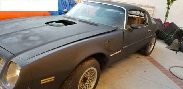 1975 Pontiac Firebird - photo 3