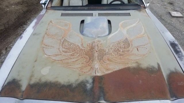 1975 Pontiac Trans Am TRANSAM - photo 11