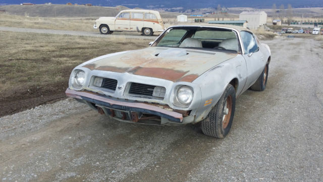 1975 Pontiac Trans Am TRANSAM - photo 8