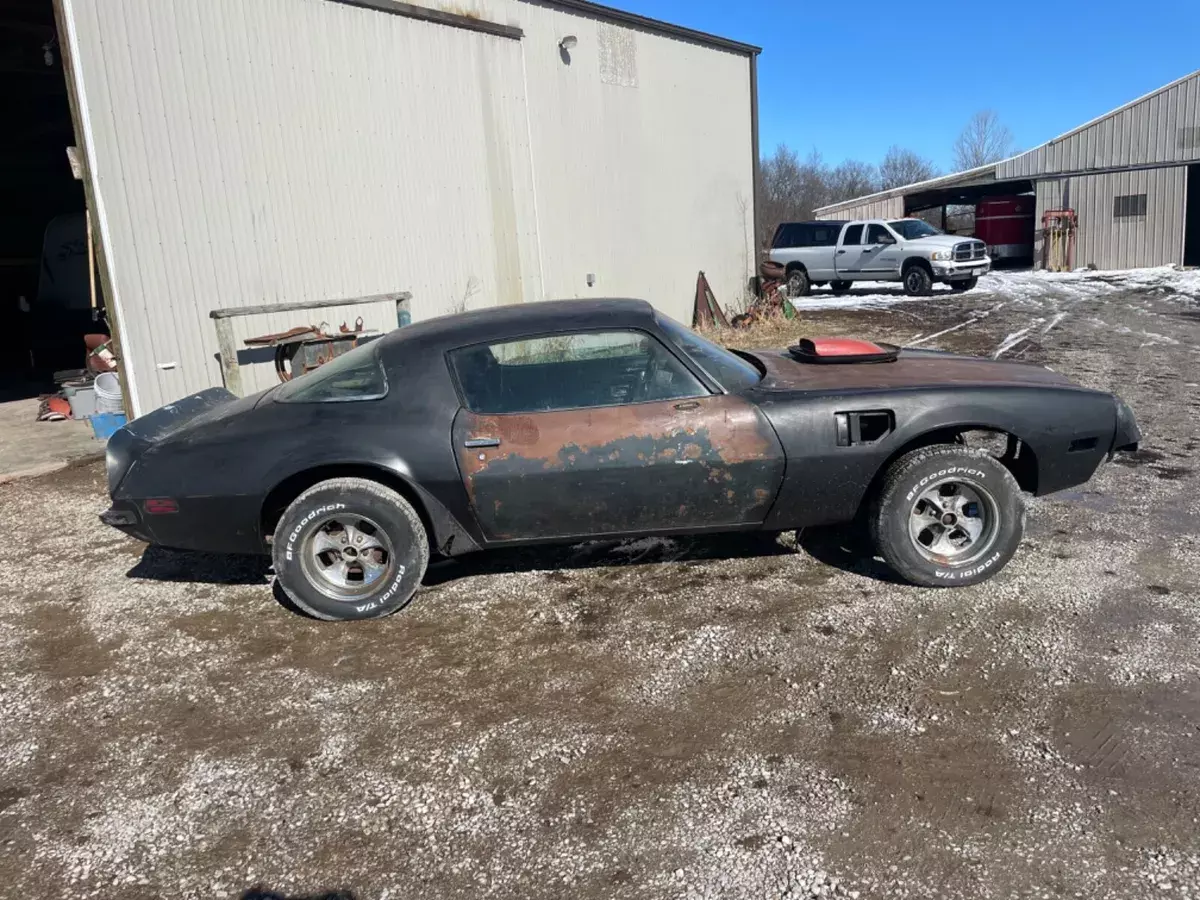 1975 Pontiac Trans Am - 4 Speed- No Reserve 1975 Pontiac Firebird
