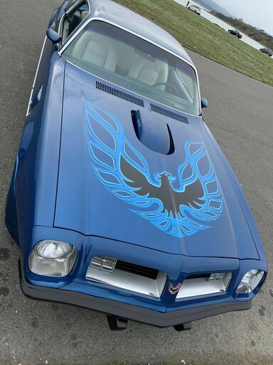 1975 Pontiac Trans Am TRANS AM - photo 11