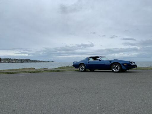 1975 Pontiac Trans Am TRANS AM - photo 12