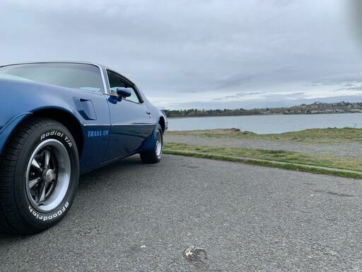 1975 Pontiac Trans Am TRANS AM - photo 13