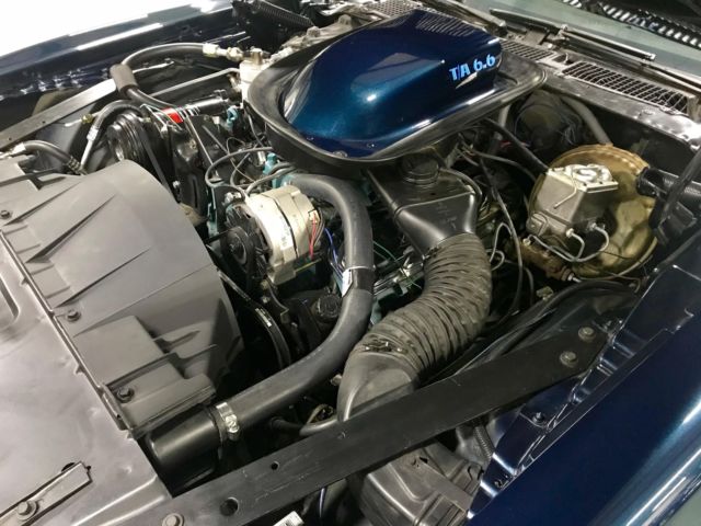 1975 Pontiac Trans Am 4 Speed - photo 11