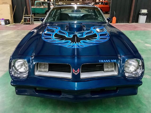 1975 Pontiac Trans Am 4 Speed - photo 8