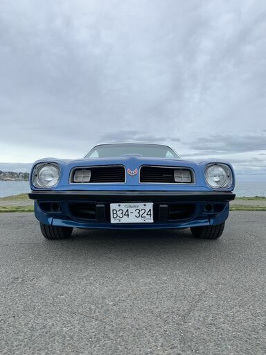 1975 Pontiac Trans Am TRANS AM - photo 6