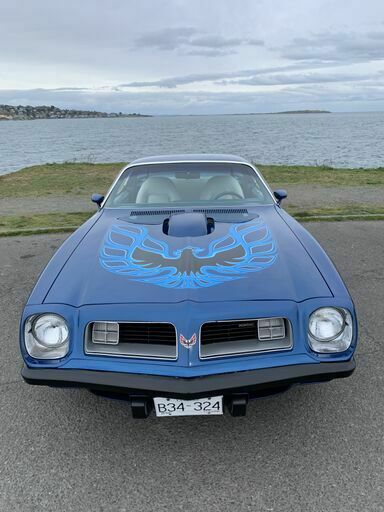 1975 Pontiac Trans Am TRANS AM - photo 7