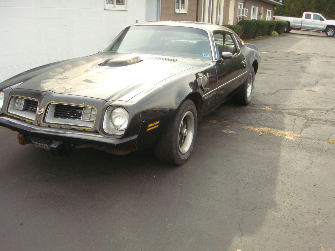 1975 Pontiac Trans Am WS4 - photo 2