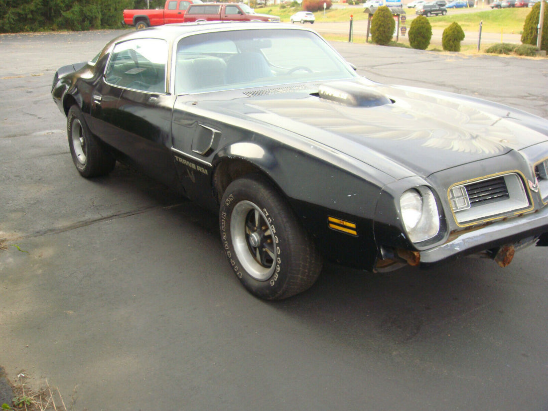1975 Pontiac Trans Am WS4 - photo 4