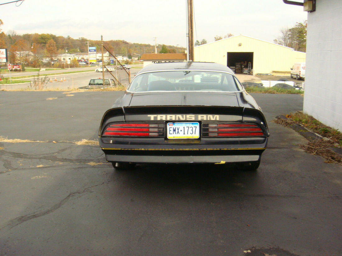 1975 Pontiac Trans Am WS4 - photo 7