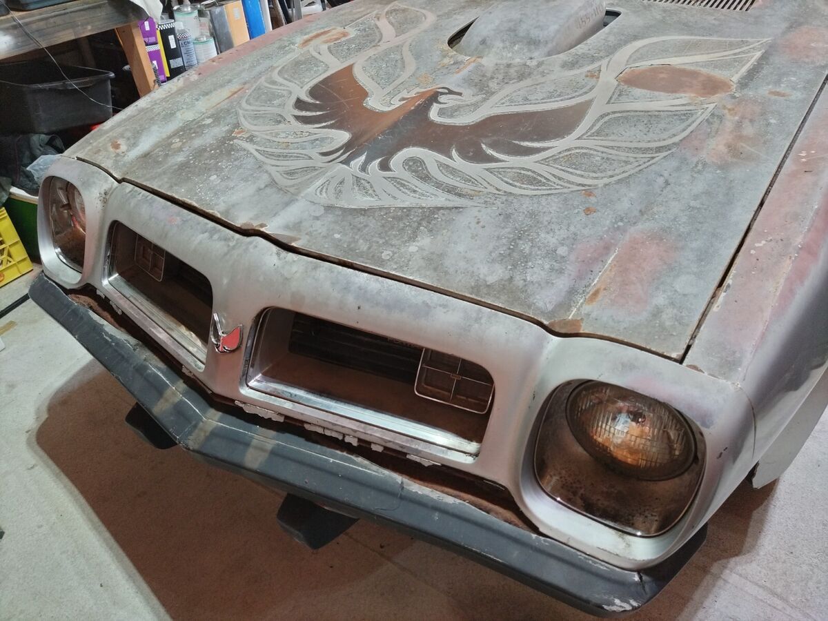 1975 Pontiac Trans Am - photo 4