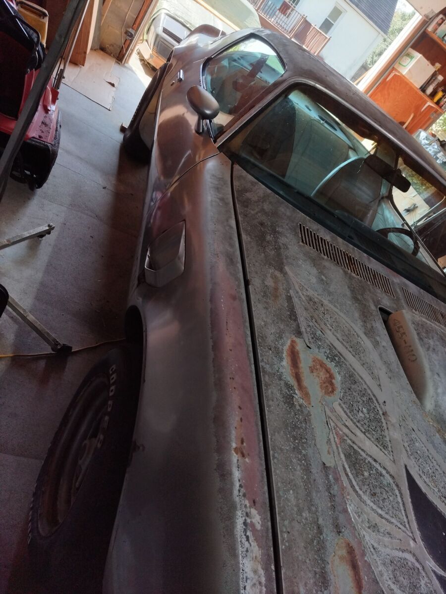1975 Pontiac Trans Am - photo 5