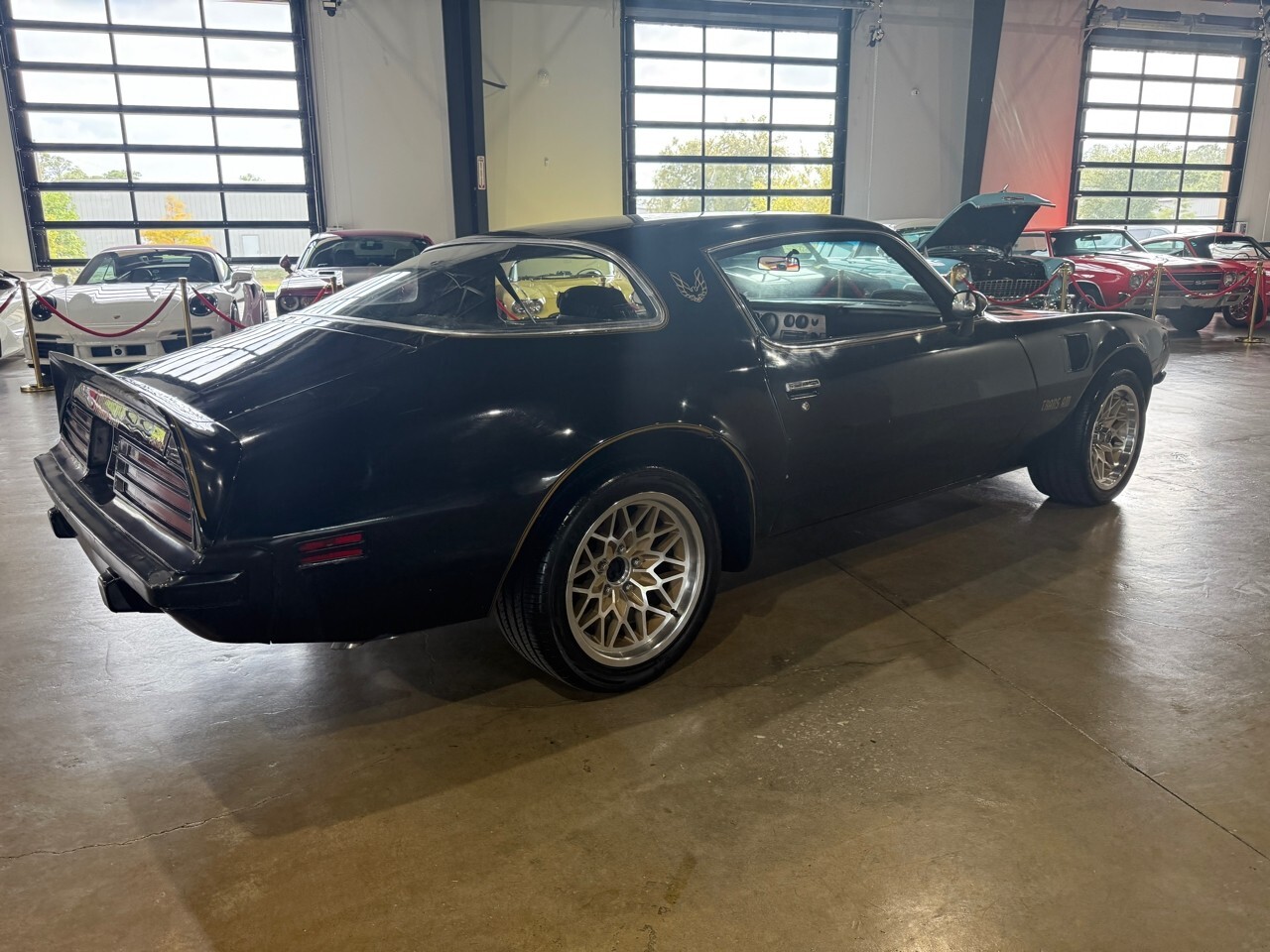 1975 Pontiac Trans Am Coupe - photo 5