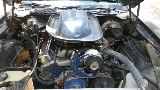 1975 Pontiac Trans Am Deluxe - photo 12