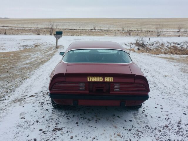 1975 Pontiac Trans Am Firebird - photo 6