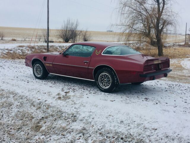1975 Pontiac Trans Am Firebird - photo 8