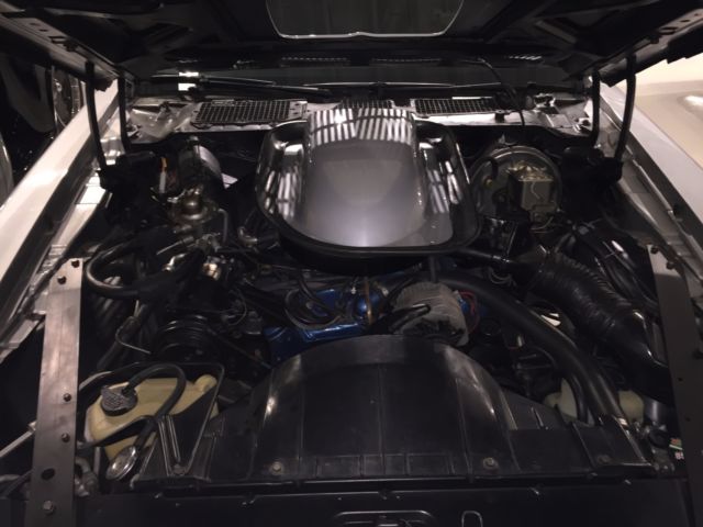 1975 Pontiac Trans Am - photo 4