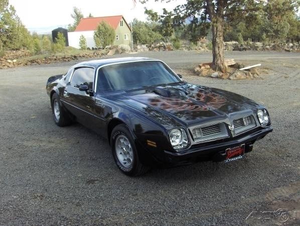 1975 Pontiac Trans Am - photo 4