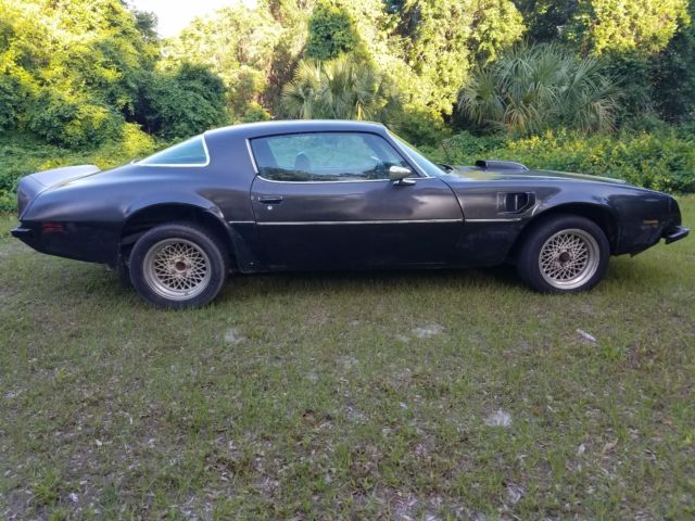 1975 PontiacTrans Am, 6.6 Liter / TH350 Automatic, Limited Slip Posi Rear 1975 Pontiac Firebird Trans Am