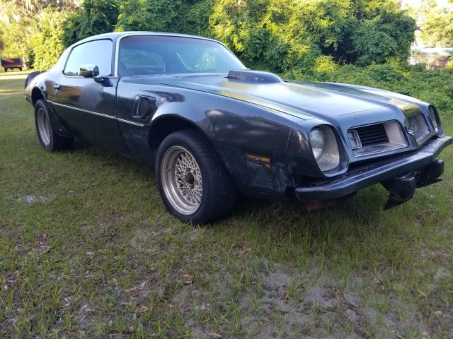 1975 Pontiac Firebird Trans Am - photo 2