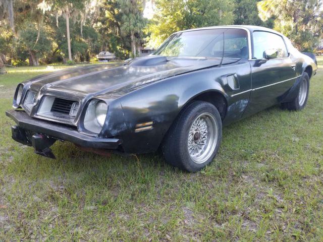 1975 Pontiac Firebird Trans Am - photo 4