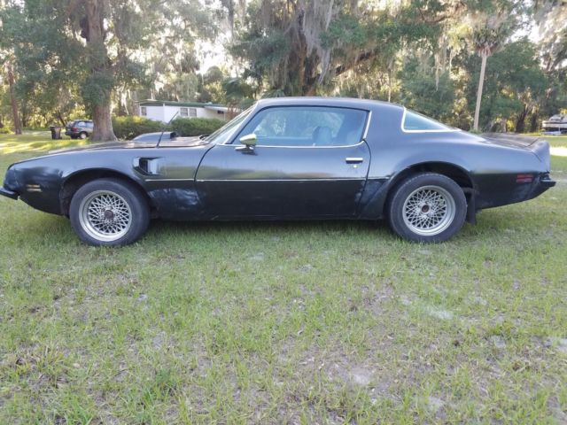 1975 Pontiac Firebird Trans Am - photo 5