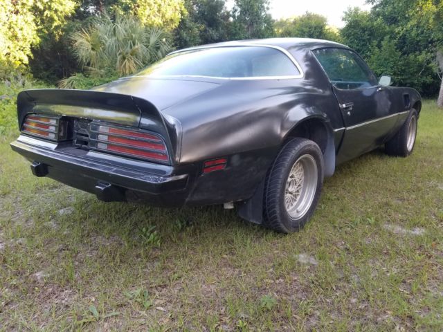 1975 Pontiac Firebird Trans Am - photo 8
