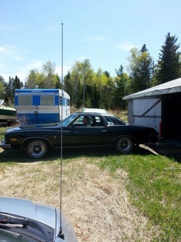 1975 Buick Regal - photo 3