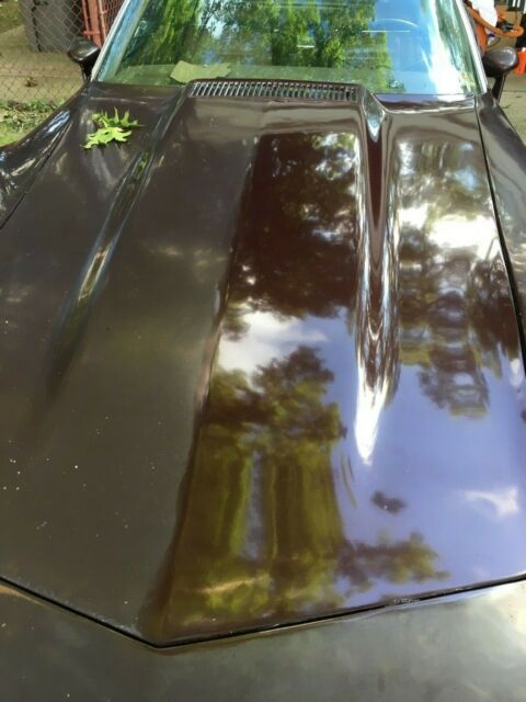1975 Chevrolet Corvette Leather - photo 10