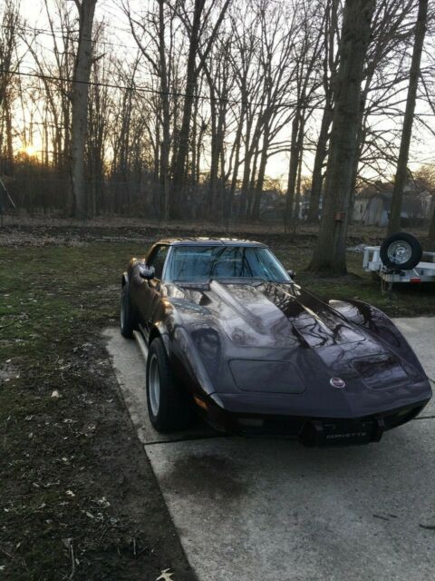 1975 Chevrolet Corvette Leather - photo 2