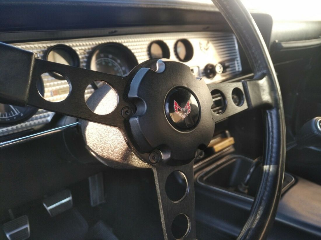1975 Pontiac Firebird TRANS AM - photo 12
