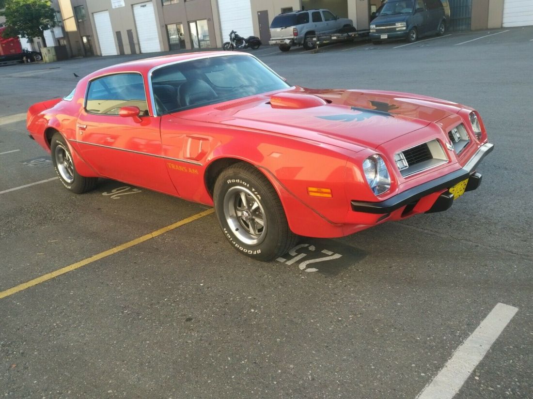 1975 Pontiac Firebird TRANS AM - photo 2