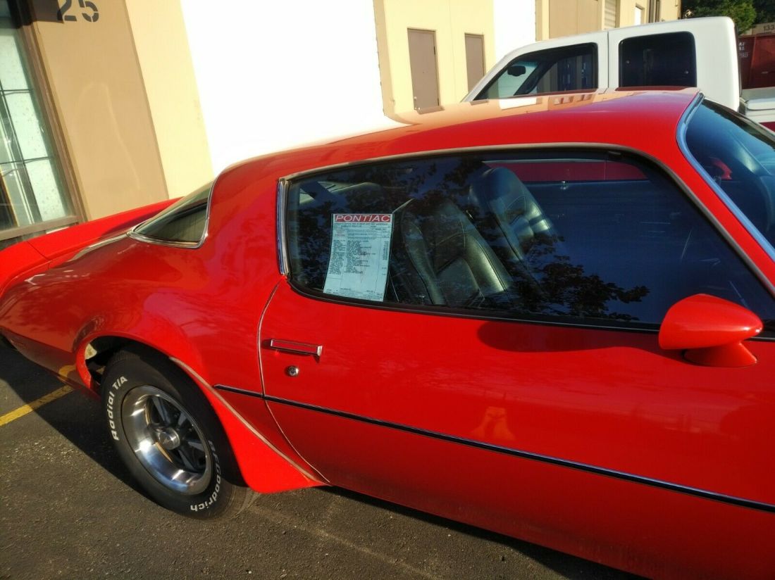 1975 Pontiac Firebird TRANS AM - photo 3