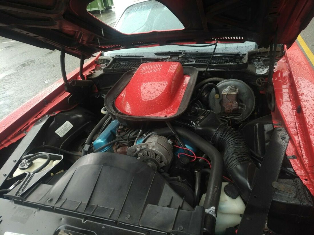 1975 Pontiac Firebird TRANS AM - photo 8