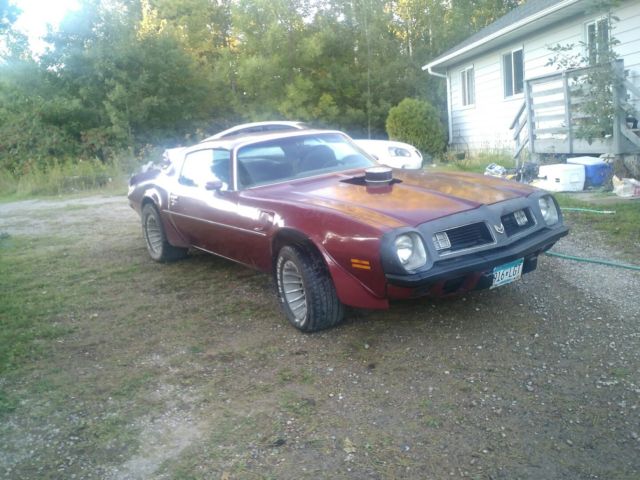 1975 Pontiac Trans Am Black - photo 3