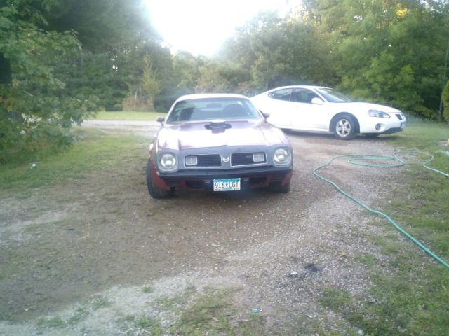 1975 Pontiac Trans Am Black - photo 4