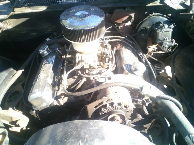 1975 Pontiac Trans Am Black - photo 5