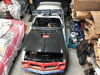 1975 Pontiac Trans Am - photo 2