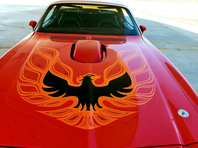 1975 Pontiac Trans Am - photo 2