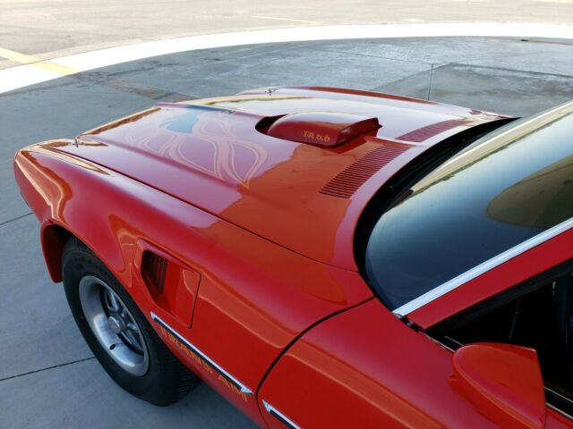 1975 Pontiac Trans Am - photo 4