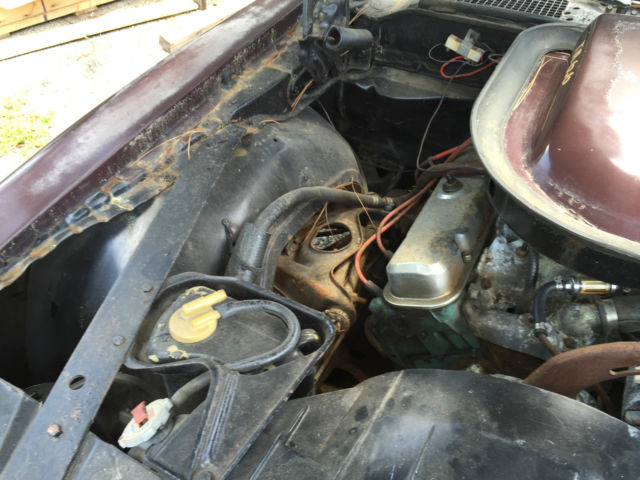 1975 Pontiac Trans Am TA - photo 4