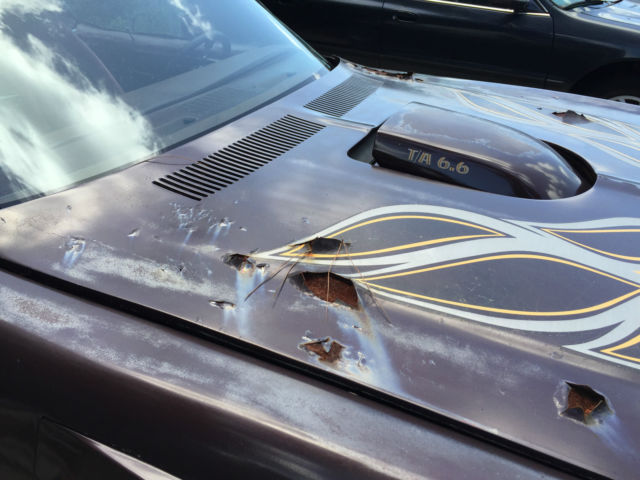 1975 Pontiac Trans Am TA - photo 7