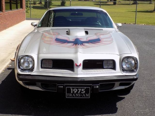 1975 Pontiac Firebird - photo 3