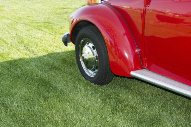 1975 Volkswagen Beetle - Classic - photo 4