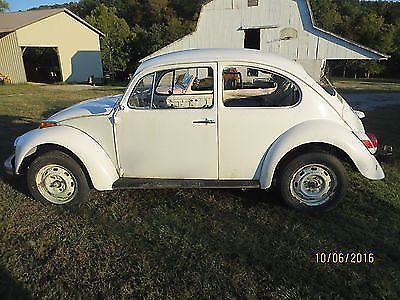 1975 Volkswagon Beetle 1975 Volkswagen Beetle - Classic Standard