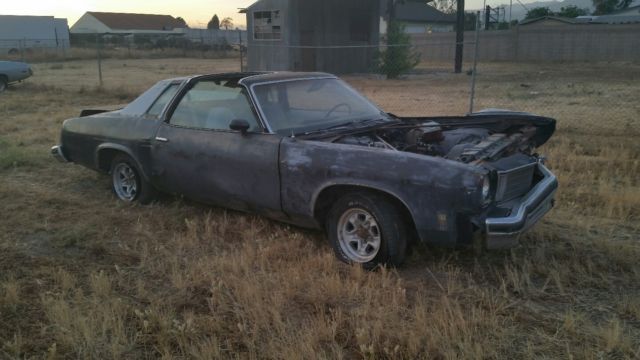 1975 Oldsmobile Cutlass Hurst W-30 - photo 2